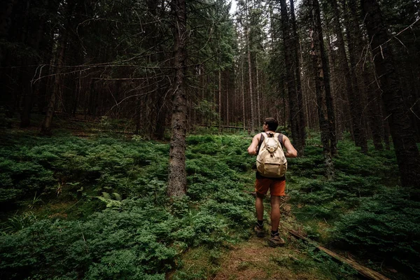 Closeup portrait of young hiker hiking, looking up at trees. — 스톡 사진