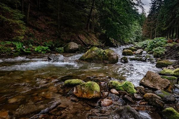 Hegyi patak a Magas-Tátra Nemzeti Park, Lengyelország — Stock Fotó