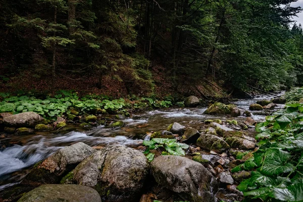 Mountain stream in High Tatras National Park, Poland