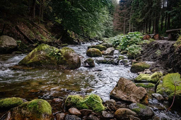 Hegyi patak a Magas-Tátra Nemzeti Park, Lengyelország — Stock Fotó