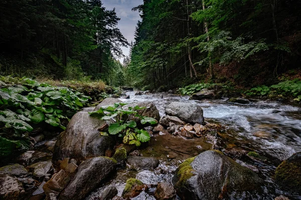 Hegyi patak a Magas-Tátra Nemzeti Park, Lengyelország — Stock Fotó