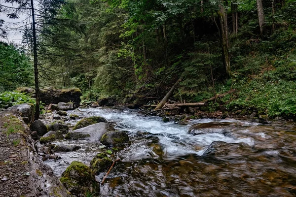 Hegyi patak a Magas-Tátra Nemzeti Park, Lengyelország — Stock Fotó