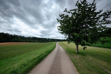 Yeşil tarlalarda boş bir köy yolu