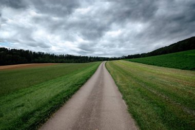 Yeşil tarlalarda boş bir köy yolu
