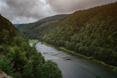 Misty River Yazın yeşil bir ormanın içinden