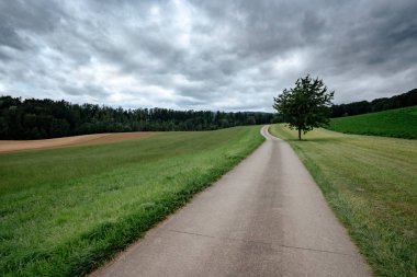 Yeşil tarlalarda boş bir köy yolu
