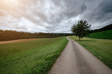 Yeşil tarlalarda boş bir köy yolu