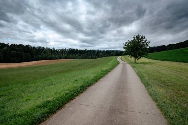 Yeşil tarlalarda boş bir köy yolu