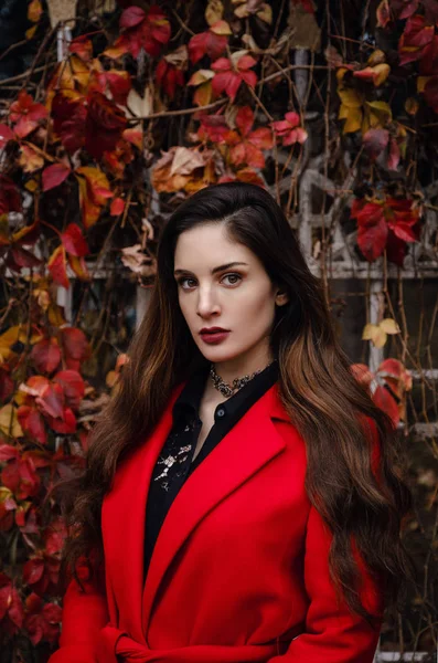 Mulher bonita em casaco vermelho está desfrutando de parque de outono . — Fotografia de Stock