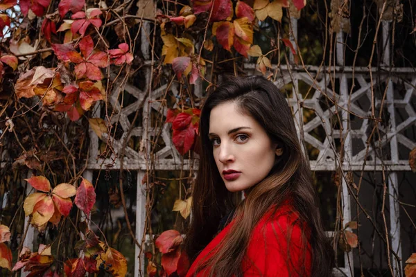 Mulher bonita em casaco vermelho está desfrutando de parque de outono . — Fotografia de Stock