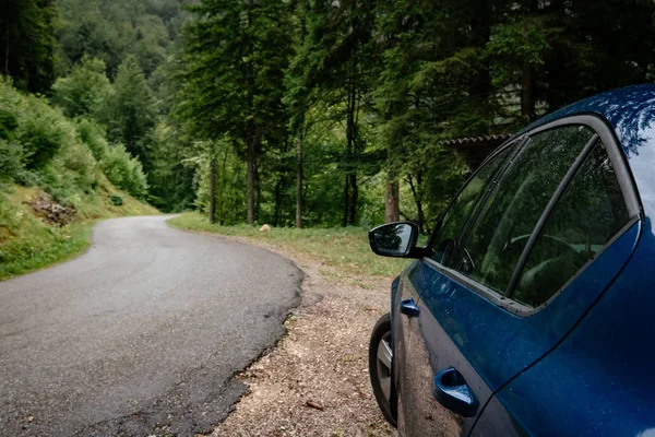 De auto op de weg met het bos eromheen. — Stockfoto