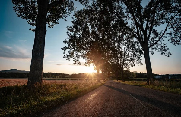 country road at sunset, an alley along a dirt road in the sun