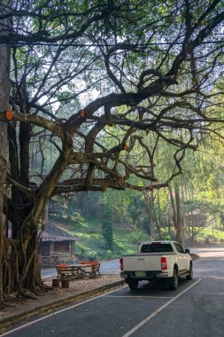 Tayland 'daki Lan Sang Ulusal Parkı' nda araba parkı. mobil fotoğraf, seyahat hafifliği