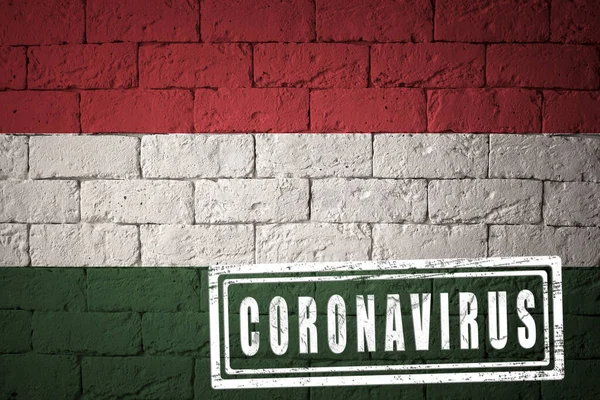 Bandeira Hungria Com Proporções Originais Carimbado Coronavirus Textura Parede Tijolo — Fotografia de Stock