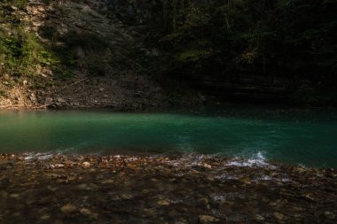 Sochi, Khosta, Rusya 'daki porsuk ağacı koruluğu. Yazın kayaların ve yosunların arasında orman yolu olan porsuk ağacı ve ağaç koruluğu..