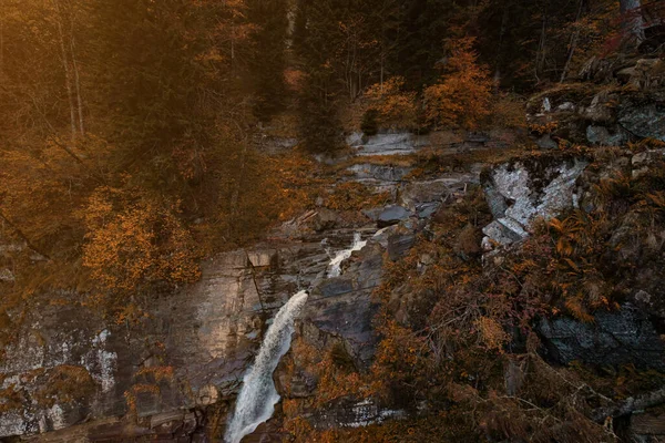 Rio Profundo Floresta Montanha Composição Natural Rio Mendelich Norte Cáucaso — Fotografia de Stock