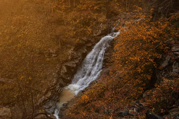 Fiume Immerso Nella Foresta Montana Composizione Della Natura Fiume Mendelich — Foto Stock