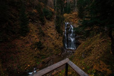 Dağ ormanının derinliklerinde bir nehir. Doğa bileşimi. Kuzey Kafkasya 'daki Mendelich Nehri, Rosa Khutor, Rusya, Sochi. Sonbahar ormanlarında çağlayan güzel şelale, sis ve yağmur.
