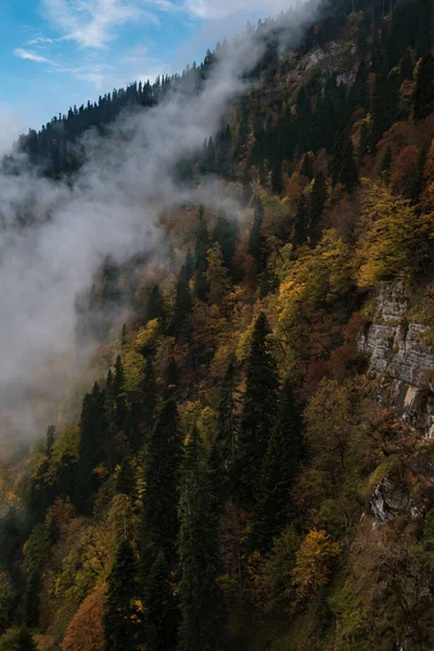 Paisagem Outono Montanha Com Floresta Colorida Picos Altos Cáucaso Montanhas — Fotografia de Stock