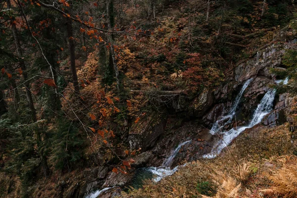 山林深处的河流 大自然的组成 北高加索地区的门德里希河 俄罗斯的罗莎 美丽的瀑布瀑布在秋天的森林里 有雾有雨 — 图库照片