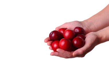 Kadın, izole edilmiş beyaz bir arka planda eriği elinde tutuyor. Sağlıklı yeme fikri ve konsepti