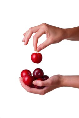 Kadın, izole edilmiş beyaz bir arka planda eriği elinde tutuyor. Sağlıklı yeme fikri ve konsepti