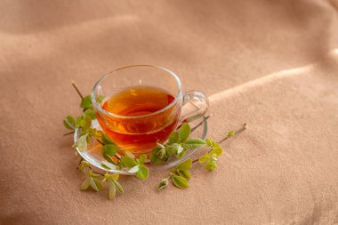 Yeşil dalları olan cam tabaklı bir bardak çay, çay içme fikri ve konsepti, bahar, rahatlama ve doğal malzemeler
