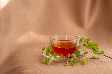 Yeşil dalları olan cam tabaklı bir bardak çay, çay içme fikri ve konsepti, bahar, rahatlama ve doğal malzemeler