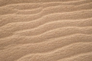 Kumun altın dokusu. Sahildeki kumu arka plan olarak kullan. Güzel çöl