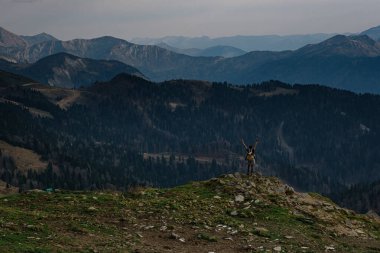 Sonbaharda dağlarda genç erkek hippinin silueti. Eller havada. Keşif Yolculuğu Konsepti. Buzlu arka planda bir turist. Spor ve aktif yaşam konsepti.
