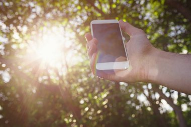 Erkek eli beyaz akıllı telefon, cep telefonu, yeşil orman arka planının bulanık görüntüsü üzerinde cep telefonu..