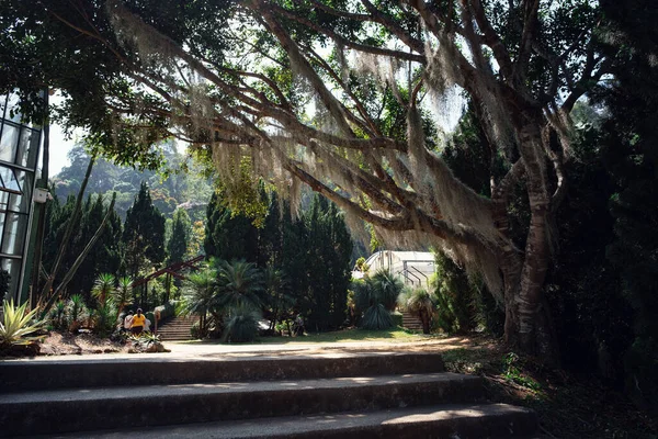 Serre Dans Les Jardins Botaniques Queen Sirikit Province Chiang Mai — Photo