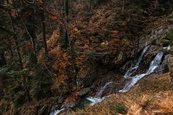 Rio Profundo Floresta Montanha Composição Natural Rio Mendelich Norte Cáucaso — Fotografia de Stock
