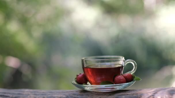 Un bicchiere di tè si erge sulla natura lungo il fiume — Video Stock