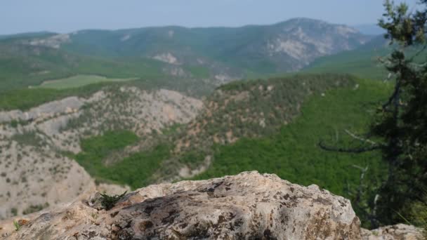 Detail Vintage Leather Boots Unrecognizable Adventurous Female Hiker Hiking Viewpoint — Stock Video