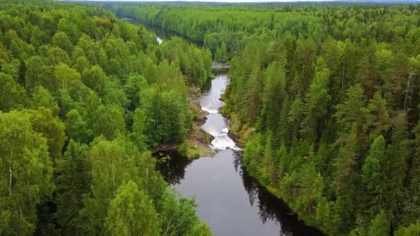 Drzewa Leśne Rzeka Góry Piękny Lot Nad Rzeką Piękna Karelia — Wideo stockowe