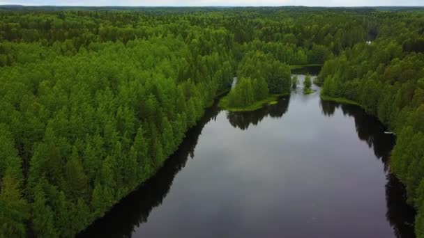 Лесные Деревья Река Сверху Прекрасный Полет Над Рекой Красивая Карелия — стоковое видео