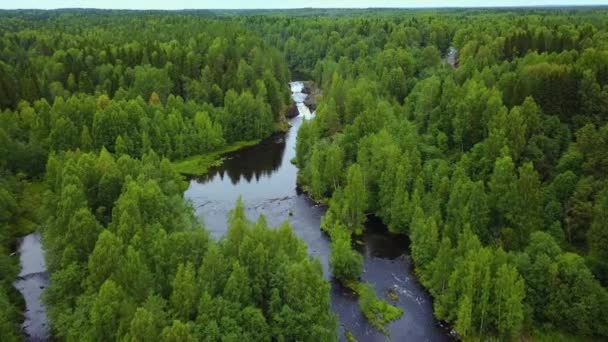 Bosque Árboles Río Desde Arriba Hermoso Vuelo Sobre Río Hermosa — Vídeos de Stock