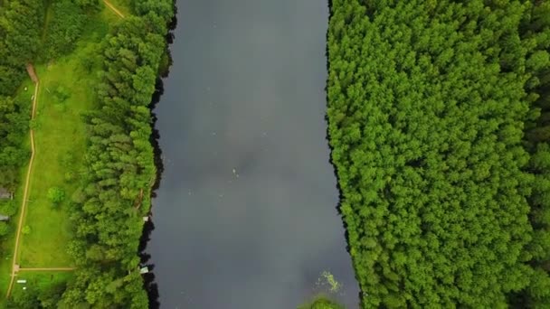 森林树木和河流从上方 美丽的飞越河流 美丽的卡累利阿是数千个湖泊和绿林的所在地 俄罗斯 拉多加湖 — 图库视频影像