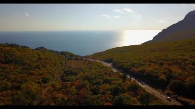 Drone 'dan Okyanus' a doğru uçuyor. Güzel sonbahar dağ ormanları. Seyahat ve keşif fikri ve kavramı