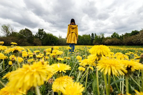 Portrait Beautiful Woman Yellow Cloak Field Flowering Dandelions Stormy Sky — Stock Photo, Image