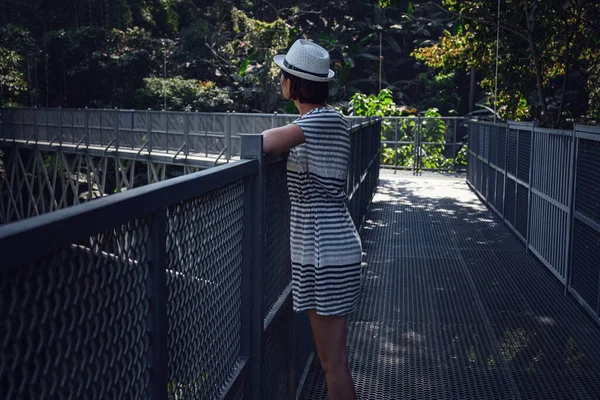 位于泰国清迈的诗丽吉王后植物园 一位身穿衣服戴着帽子的女士独自站在林荫道上 站在森林中央的林荫道上 — 图库照片
