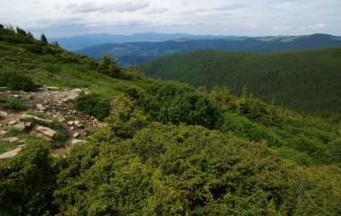 Yazın dağ manzarası