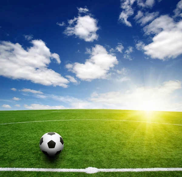 Bola sepak di rumput — Stok Foto