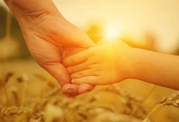 Händerna på mor och dotter på solen — Stockfoto
