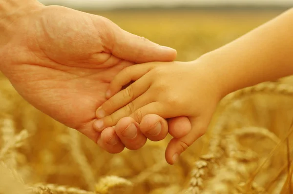 Mãos de pai e filha — Fotografia de Stock