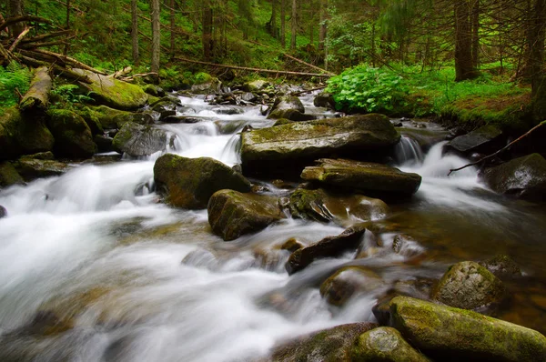 山区河流在绿色森林 — 图库照片