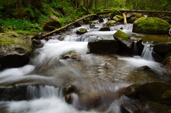 Yeşil ormandaki nehir dağ