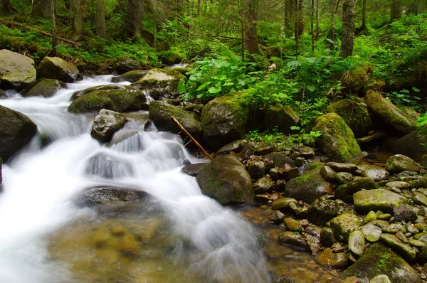 Rio da montanha na floresta verde — Fotografia de Stock