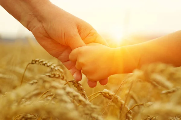 Rękach matka i córka na słońce — Zdjęcie stockowe